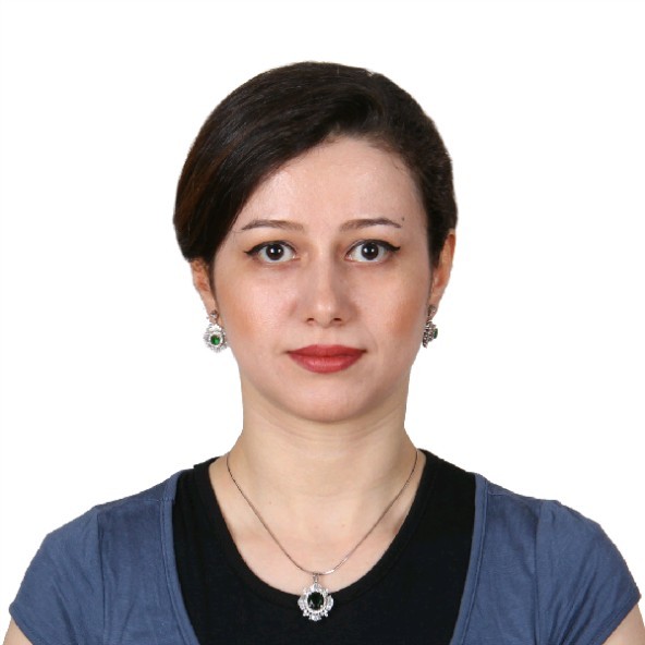 Polin Haghvirdizadeh